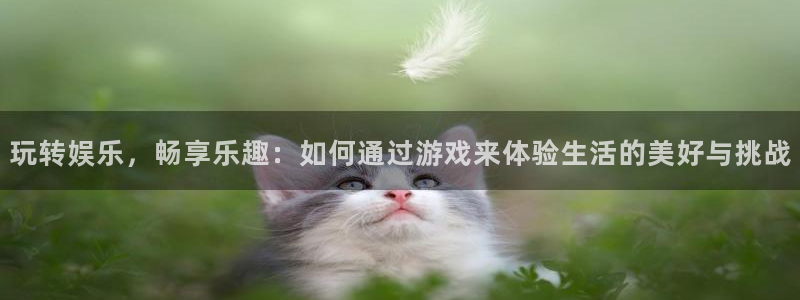 安信12登录地址：玩转娱乐，畅享乐趣：如何通过游戏来体验生活的美好与挑战