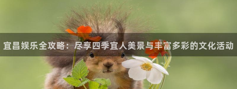 安信12：宜昌娱乐全攻略：尽享四季宜人美景与丰富多彩的文化活动