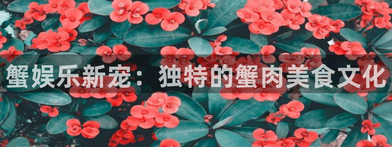 安信12平台登陆入口：蟹娱乐新宠：独特的蟹肉美食文化