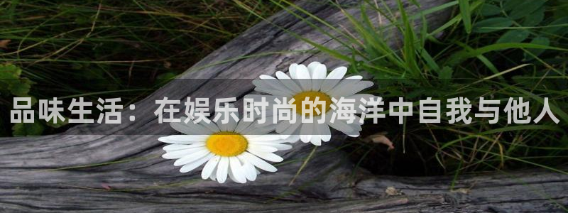 安信12：品味生活：在娱乐时尚的海洋中自我与他人