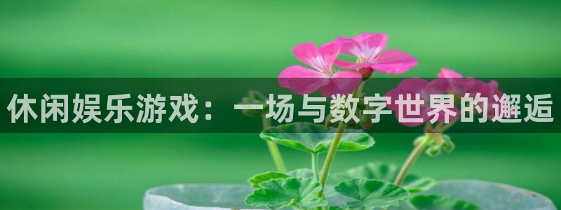 安信12最新版本更新内容：休闲娱乐游戏：一场与数字世界的邂逅