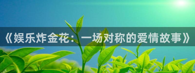 安信娱乐：《娱乐炸金花：一场对称的爱情故事》