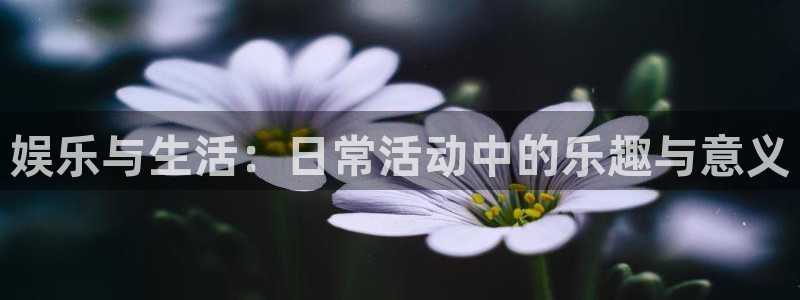 安信12平台：娱乐与生活：日常活动中的乐趣与意义