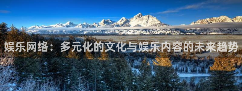 安信12最新版本更新内容：娱乐网络：多元化的文化与娱乐内容的未来趋势