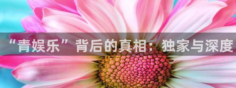 安信12注册：“青娱乐”背后的真相：独家与深度