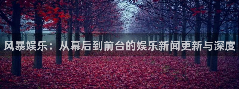 安信12注册登录：风暴娱乐：从幕后到前台的娱乐新闻更新与深度