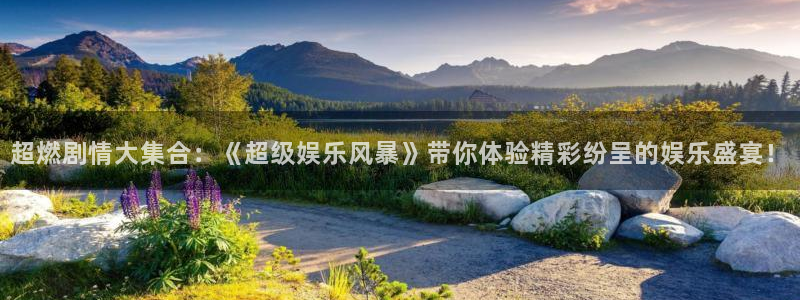 安信12登陆：超燃剧情大集合：《超级娱乐风暴》带你体验精彩纷呈的娱乐盛宴！