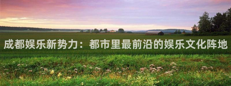 安信12注册登录：成都娱乐新势力：都市里最前沿的娱乐文化阵地