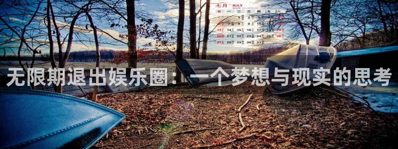 安信12：无限期退出娱乐圈：一个梦想与现实的思考