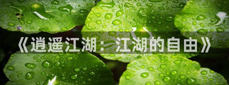 安信12登录地址：《逍遥江湖：江湖的自由》